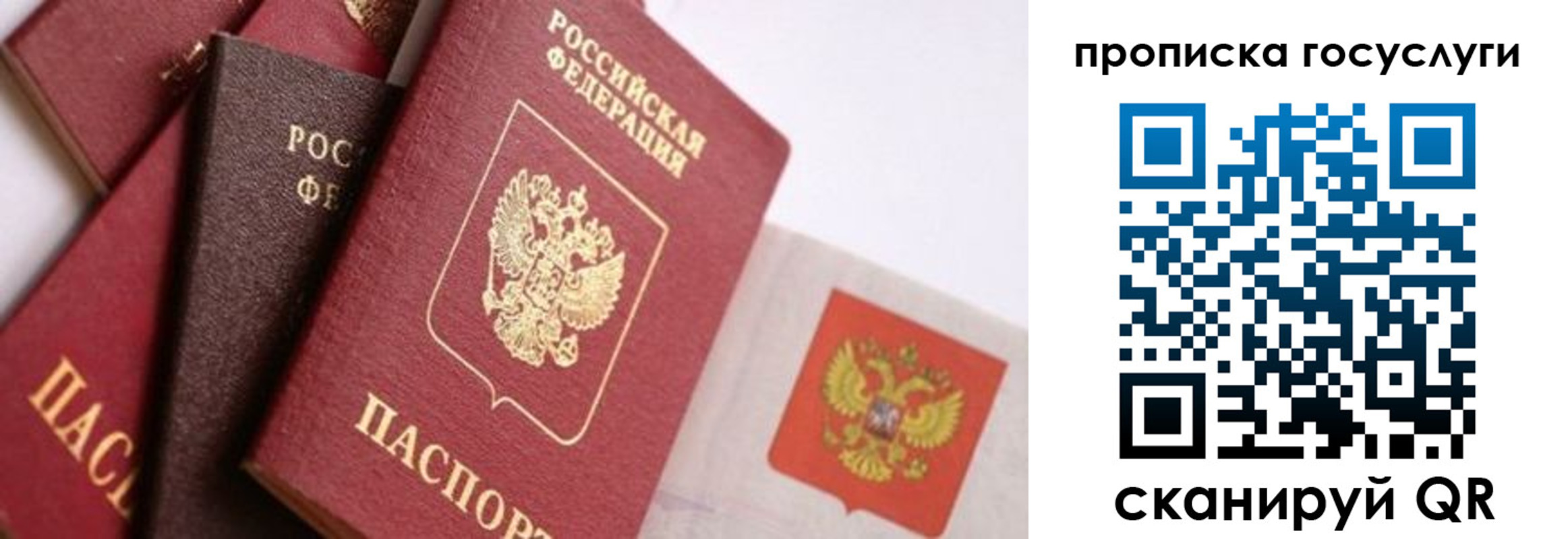прописка ребенка в Химках